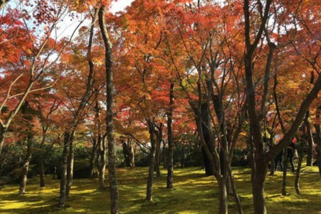 Vila Ek House Hakone Shushinso 箱根修身荘 Exteriér fotografie