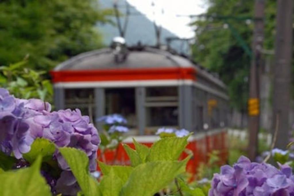 Vila Ek House Hakone Shushinso 箱根修身荘 Exteriér fotografie